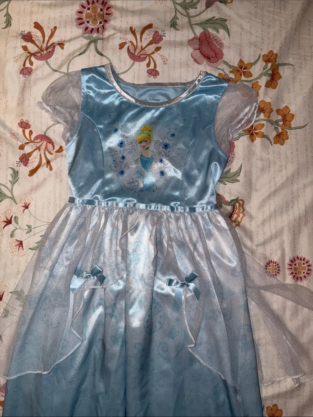 Disney Light Blue Cinderella Dress with Sheer Overlay